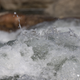 Illustration for article titled Pedernales Falls State Park